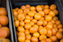 vitamine C compléments alimentaires